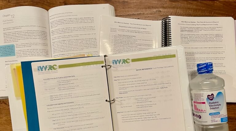 Hydration! More important than you realize.